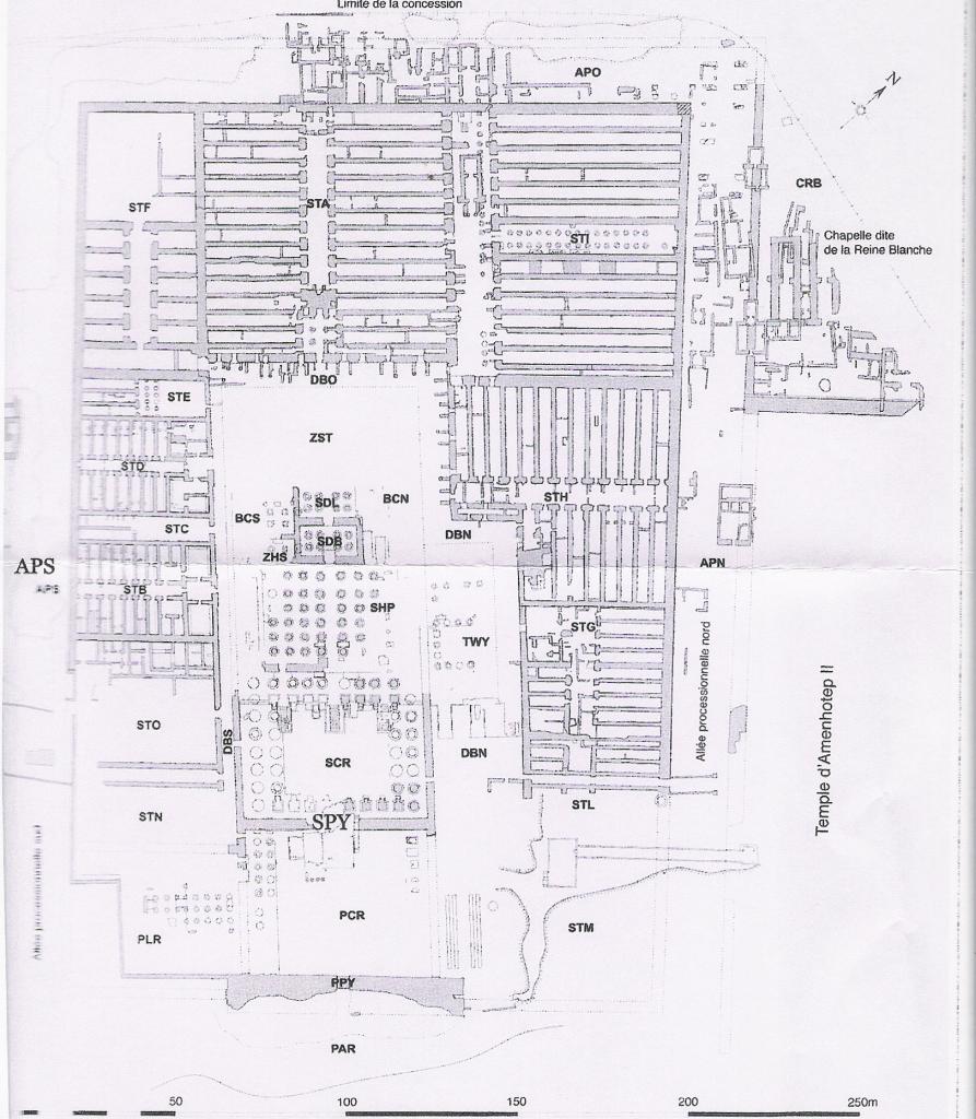 plan du Ramesseum - Memnonia 2011